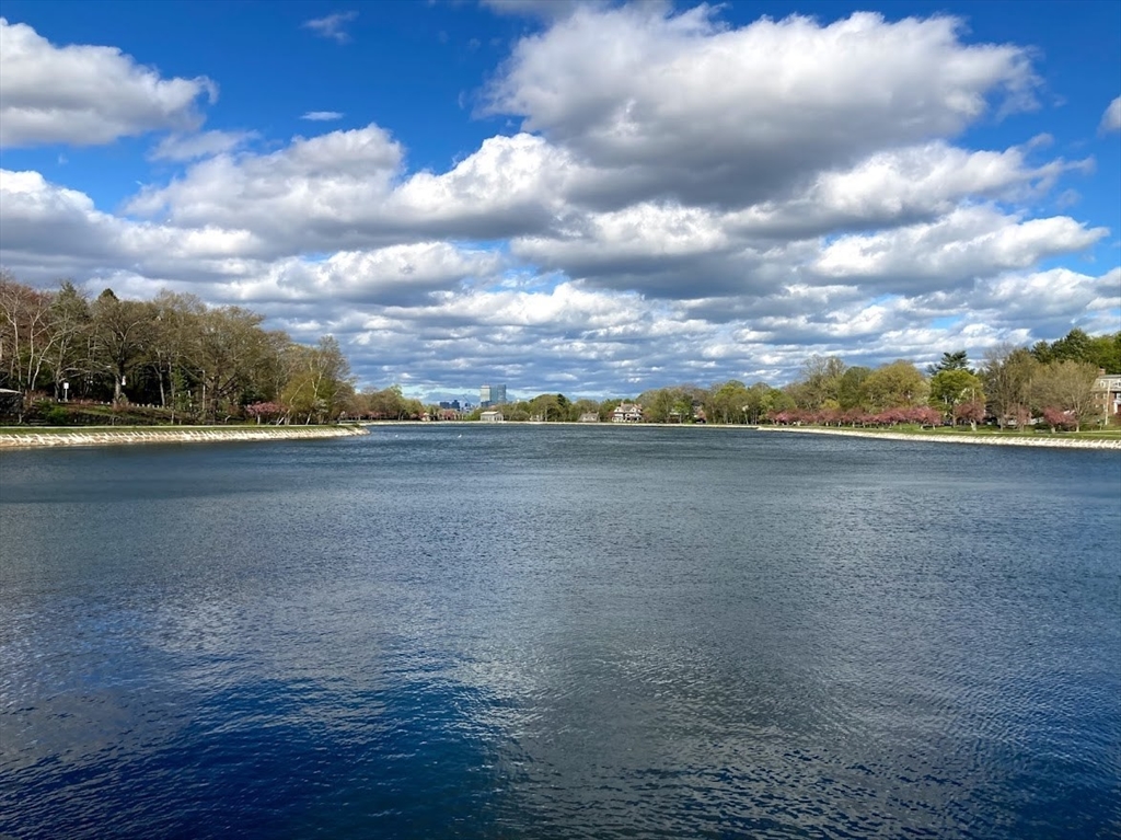 53 Prince Street, Unit 2 Brookline, MA 02445 - Photo 15 of 15