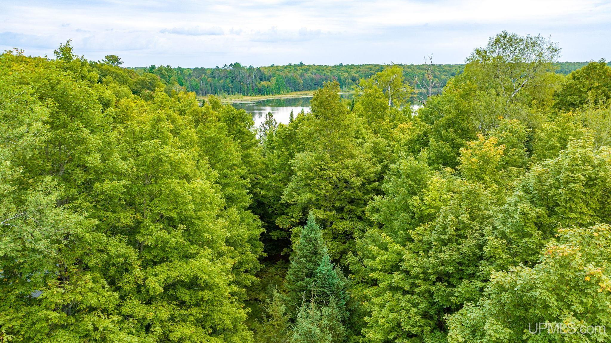 Tbd Hagerman Lake Road Iron River, MI 49935 - Photo 10 of 15