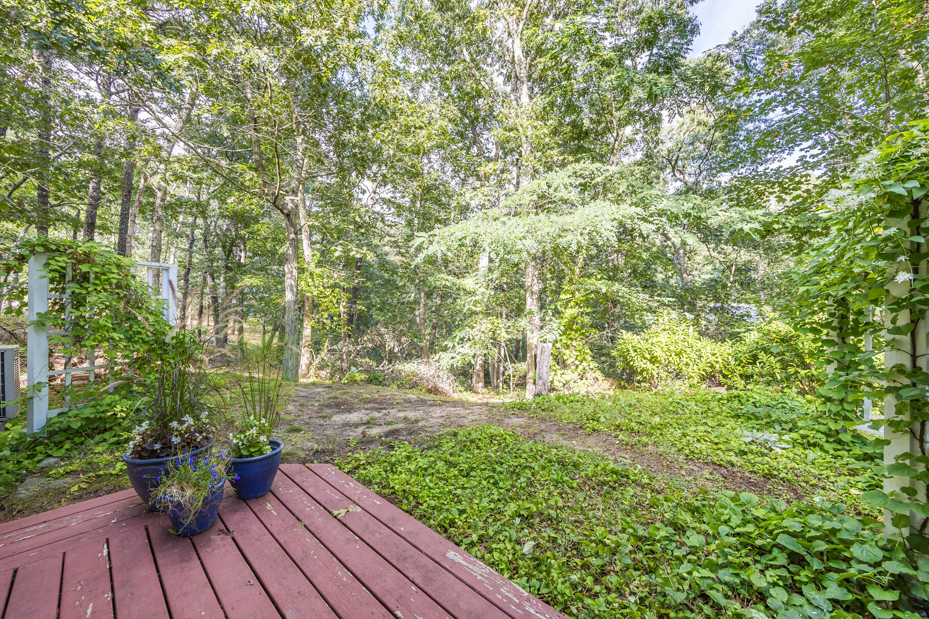 50 Slow Turtle Way Wellfleet, MA 02667 - Photo 22 of 37 a view of outdoor space and yard