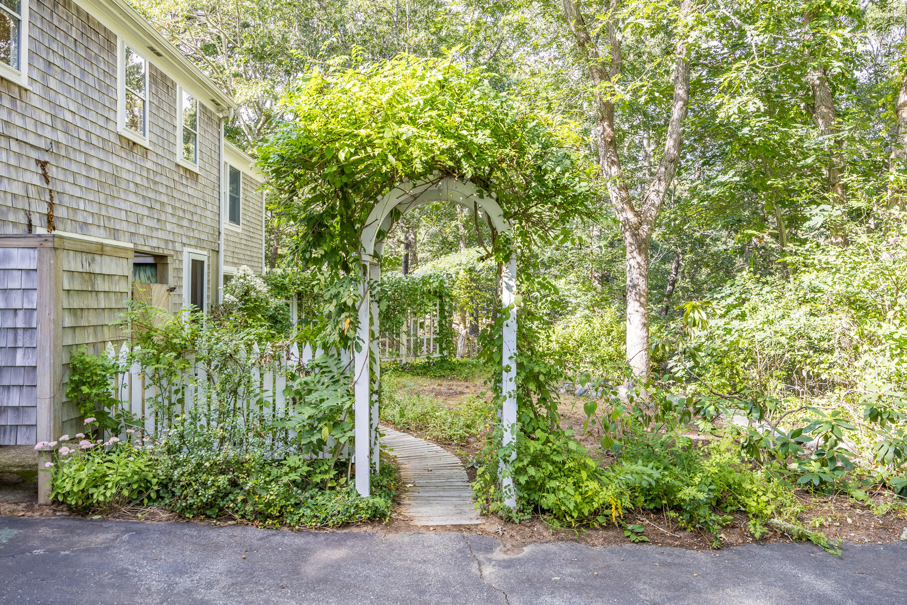 50 Slow Turtle Way Wellfleet, MA 02667 - Photo 23 of 37 a plant is in front of a building