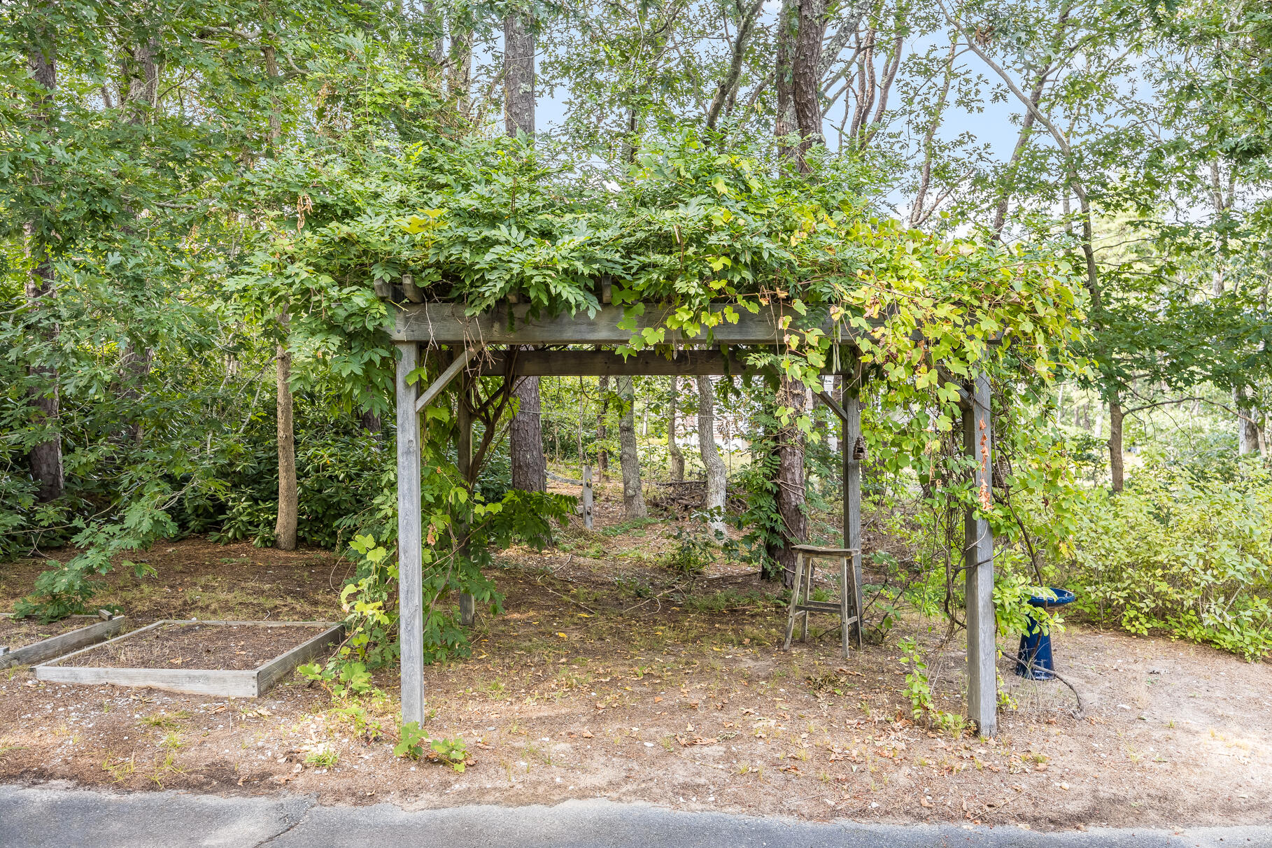 50 Slow Turtle Way Wellfleet, MA 02667 - Photo 32 of 37 a backyard of a house with lots of green space