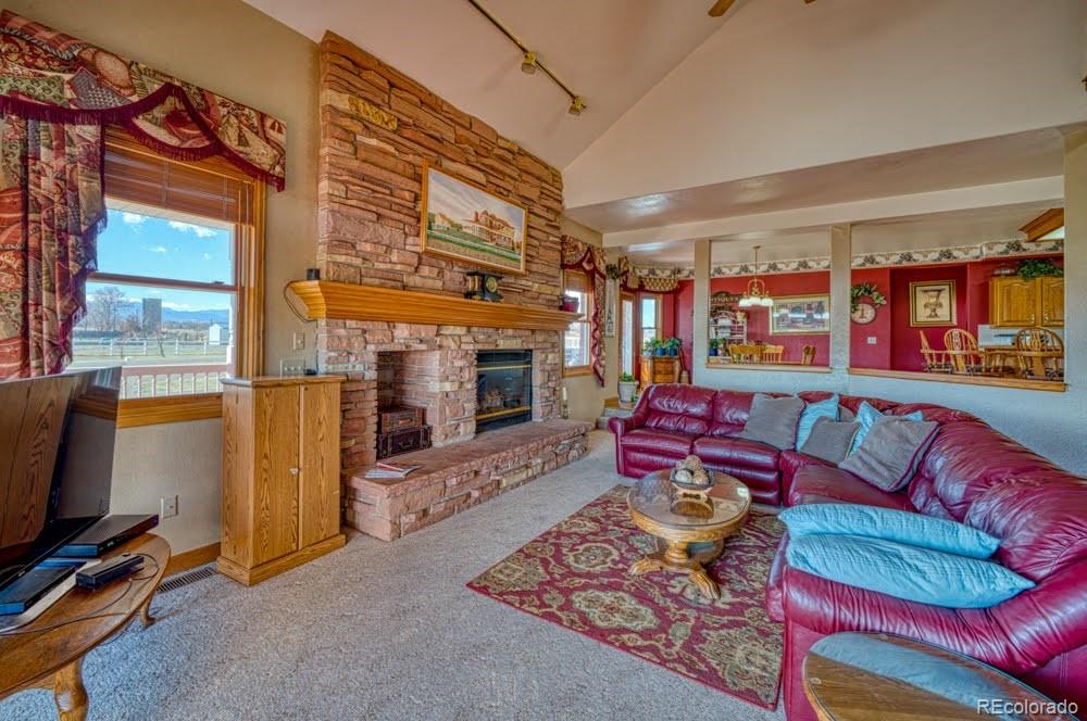 8283 Hygiene Road Longmont, CO 80503 - Photo 8 of 27 a living room with furniture a flat screen tv and a fireplace