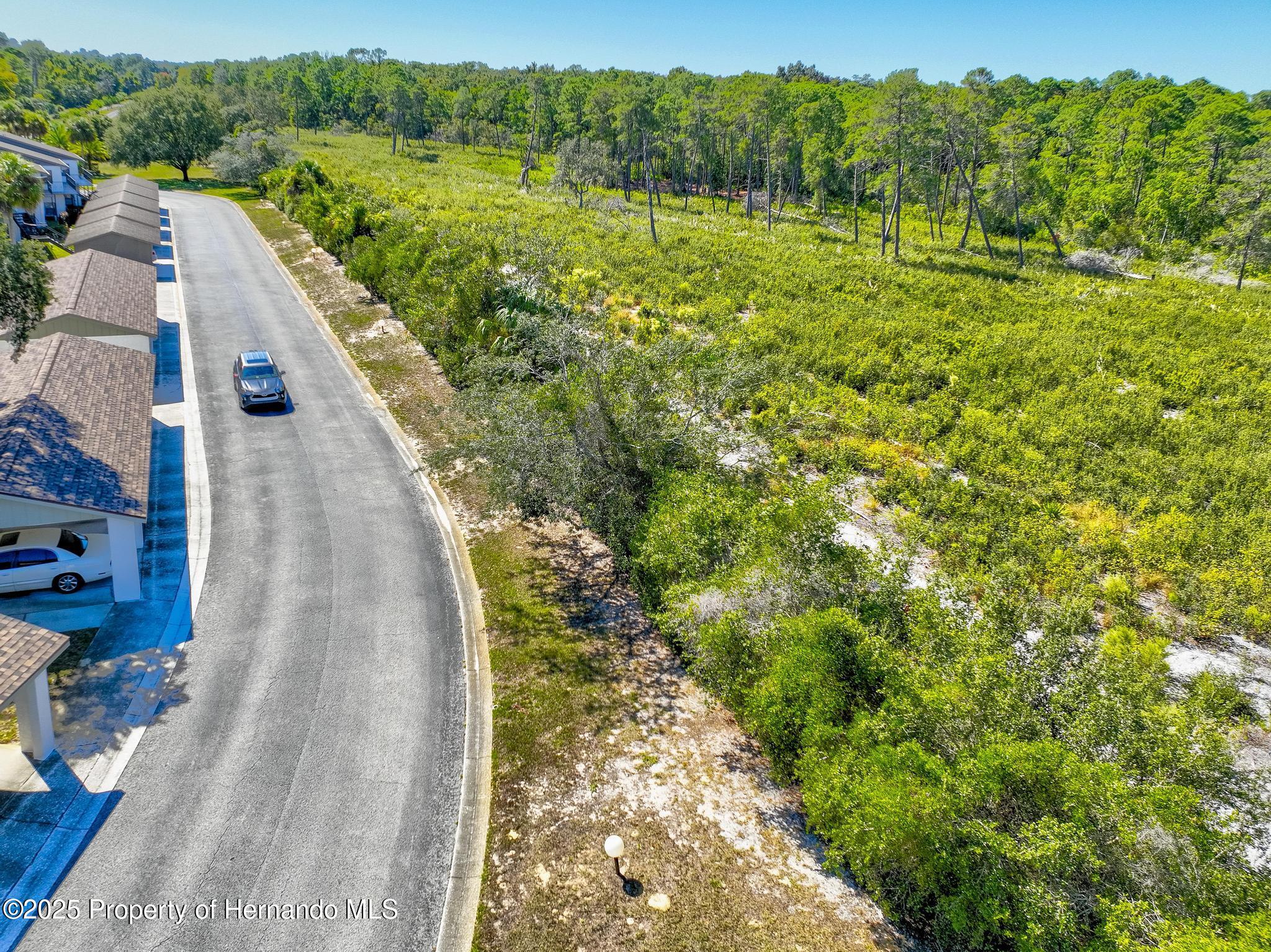 6502 River Run Boulevard Weeki Wachee, FL 34607 - Photo 38 of 46