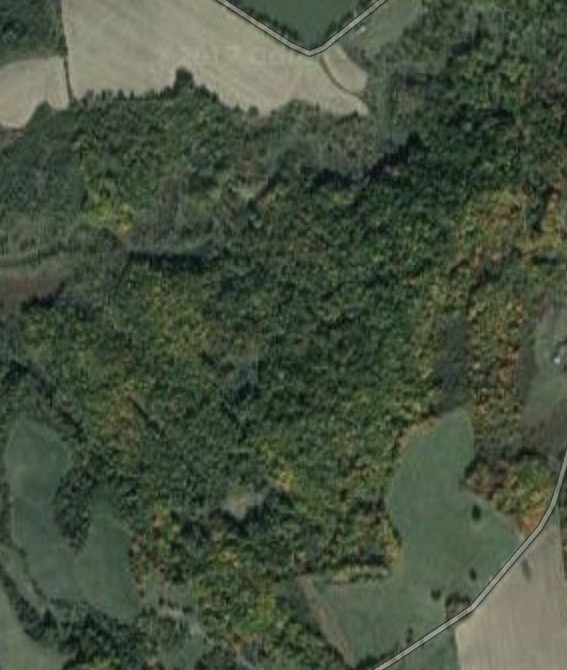 0 Mt Independence Road Orwell, VT 05760 - Photo 14 of 15