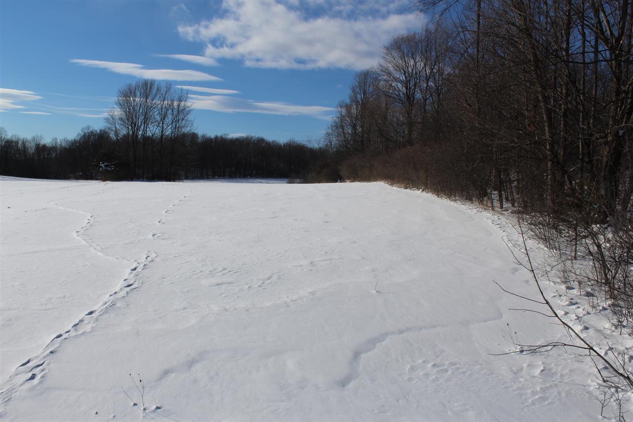 0 Mt Independence Road Orwell, VT 05760 - Photo 3 of 15