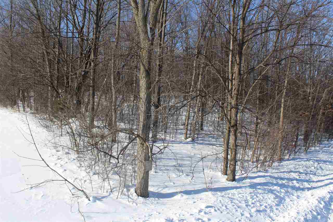 0 Mt Independence Road Orwell, VT 05760 - Photo 6 of 15