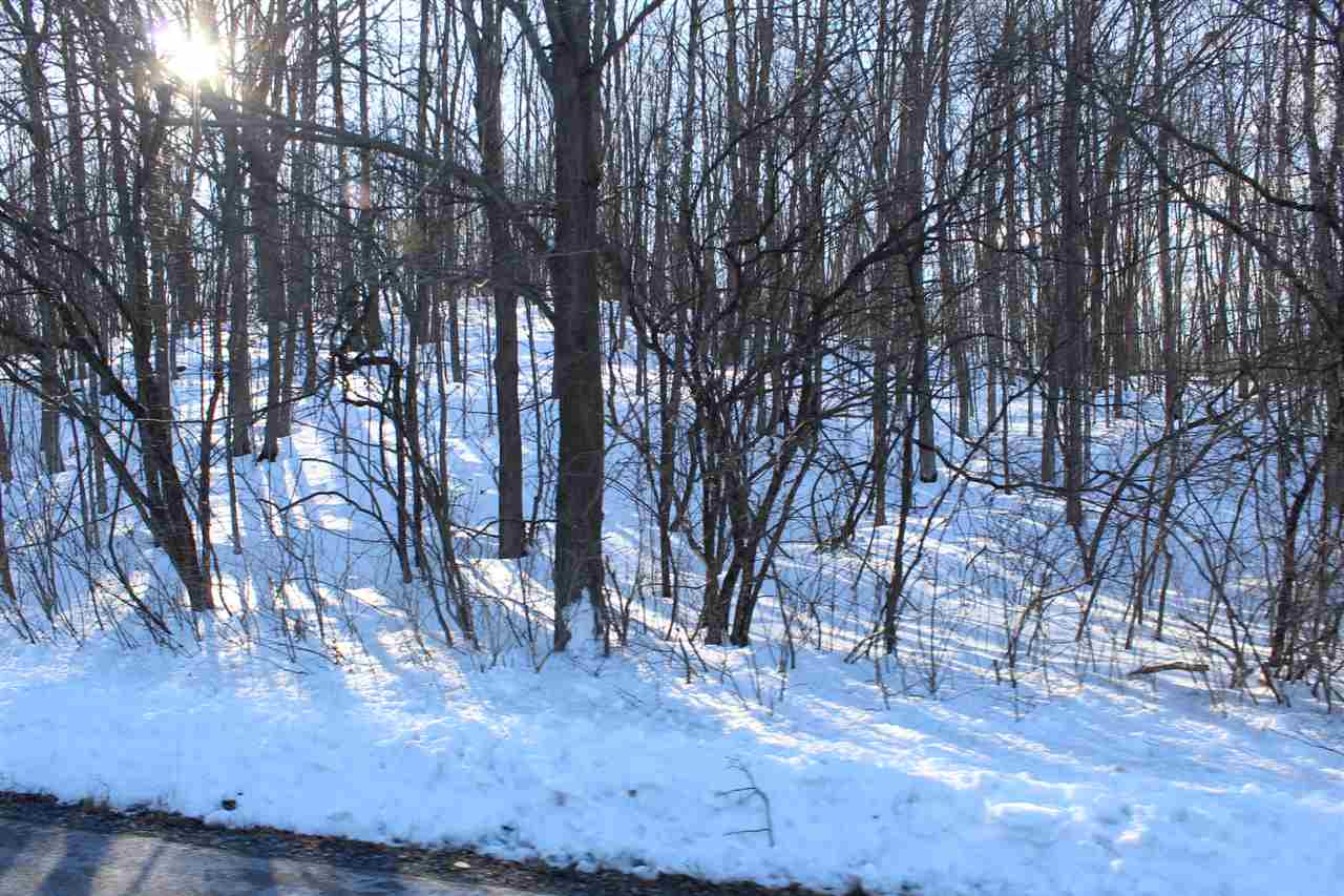 0 Mt Independence Road Orwell, VT 05760 - Photo 7 of 15