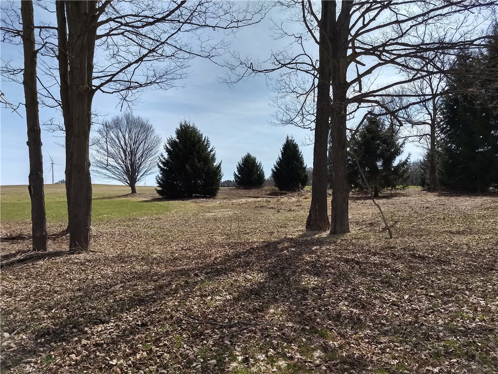 0 Route 362 Road Bliss, NY 14024 - Photo 1 of 1 Gallery Image 1