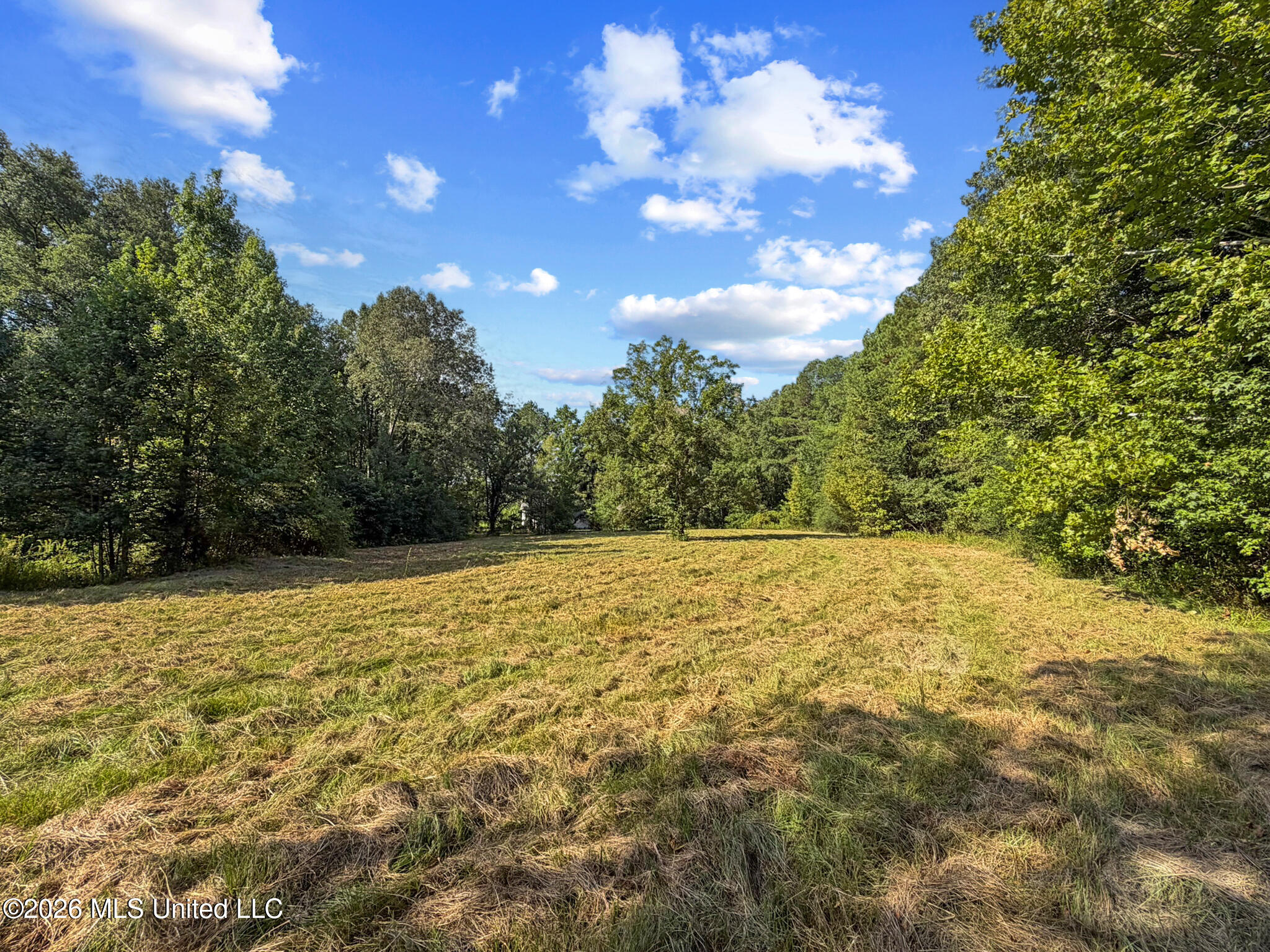 1194 Tom Kyzar Road Morton, MS 39117 - Photo 23 of 31 IMG_4370