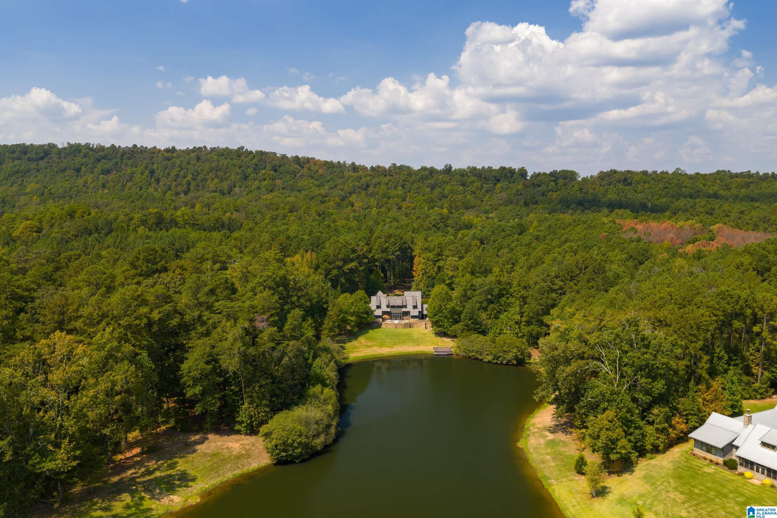 207 Saunders Bridge Circle Sterrett, AL 35147 - Photo 99 of 100