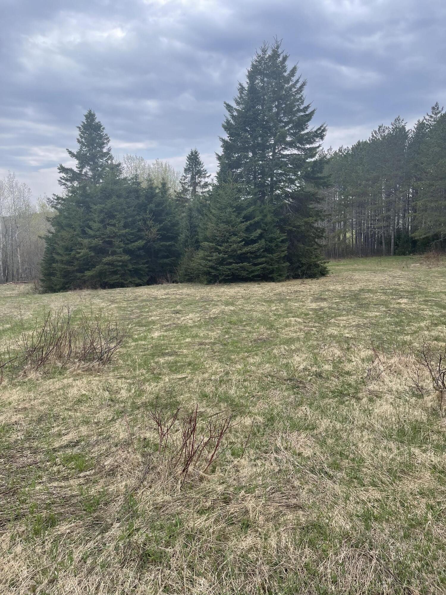 Lot 2 Grivois Road Grand Isle, ME 04746 - Photo 3 of 9 IMG_6919