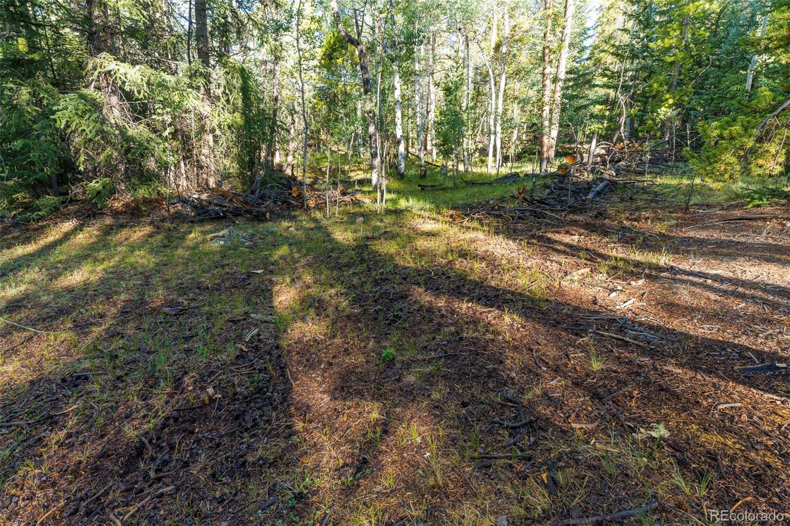 Lot 1 Snow Cap Peaks Road Fairplay, CO 80440 - Photo 14 of 20