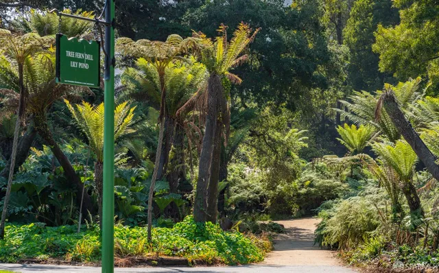 $4,195,000 | 2580 McAllister Street, San Francisco, CA 94118