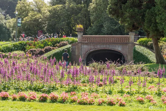 $4,195,000 | 2580 McAllister Street, San Francisco, CA 94118