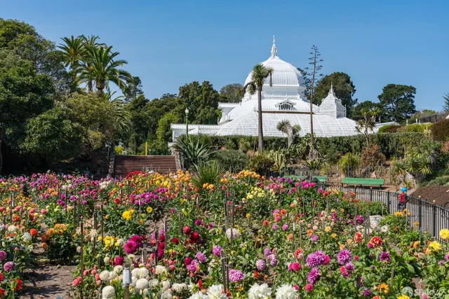 $4,195,000 | 2580 McAllister Street, San Francisco, CA 94118
