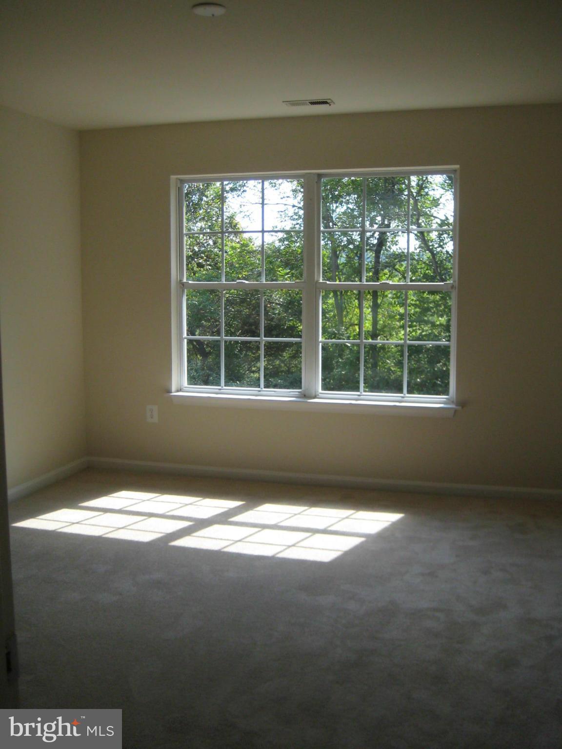 9219 Ridgefield Circle Frederick, MD 21701 - Photo 8 of 17 NEW CARPET THROUGHOUT