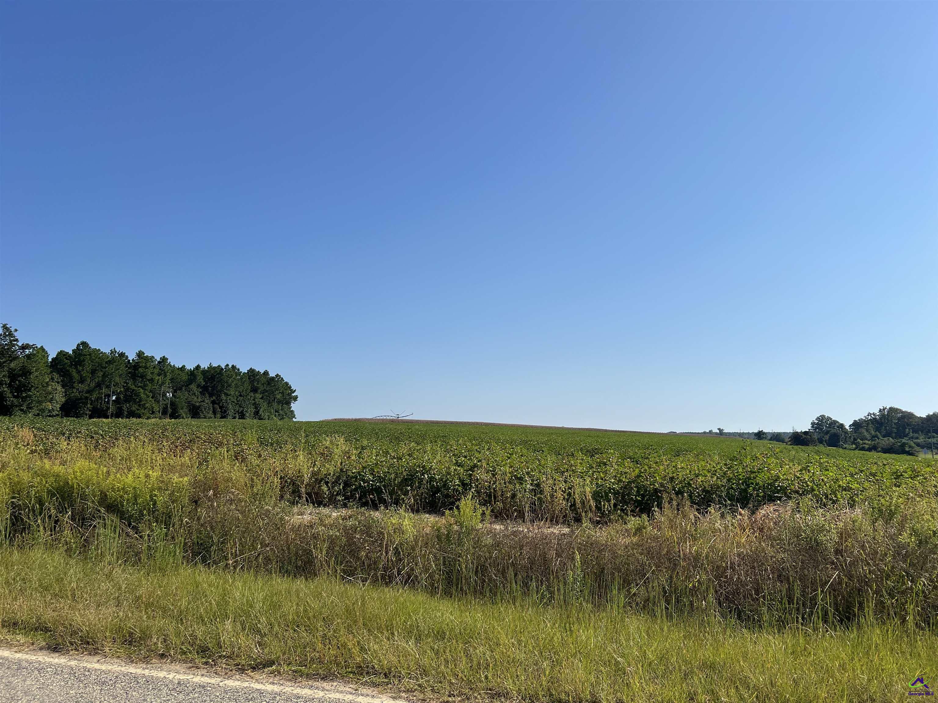 762 Nicholson-Carr Road Chester, GA 31012 - Photo 60 of 81