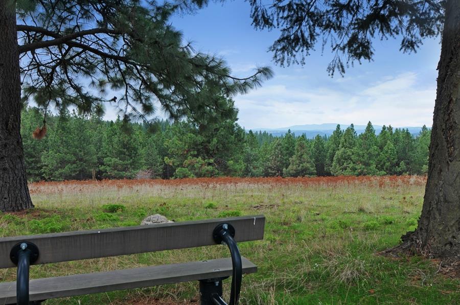 23019 North Madison Road Mead, WA 99021 - Photo 15 of 20