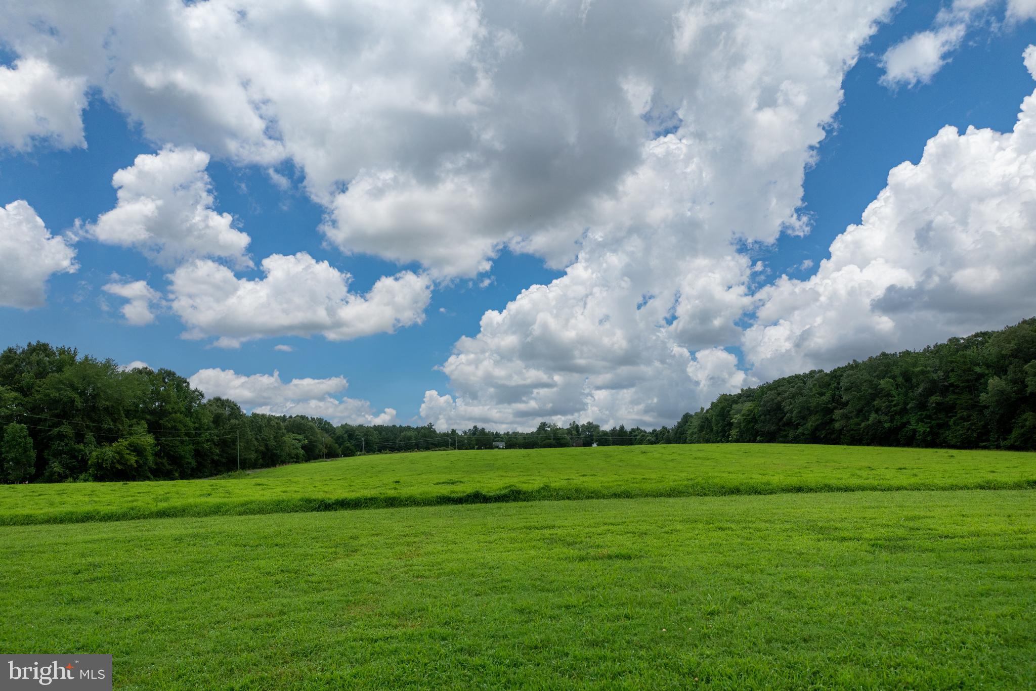 16233 Bullocks Road Ruther Glen, VA 22546 - Photo 3 of 107 Gallery Image 3