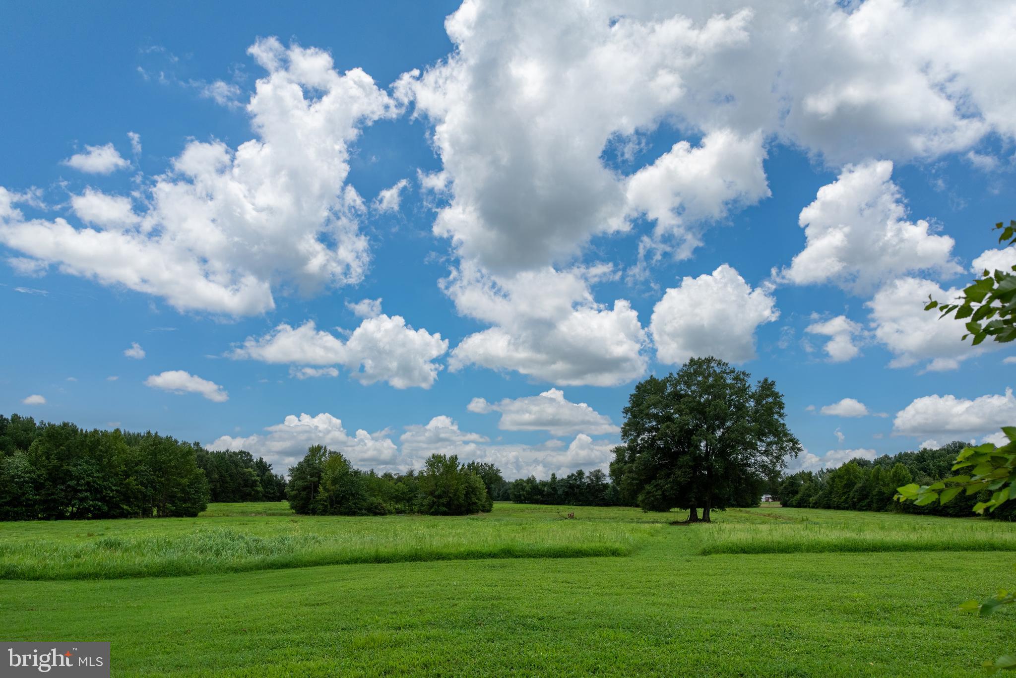 16233 Bullocks Road Ruther Glen, VA 22546 - Photo 86 of 107 Gallery Image 86