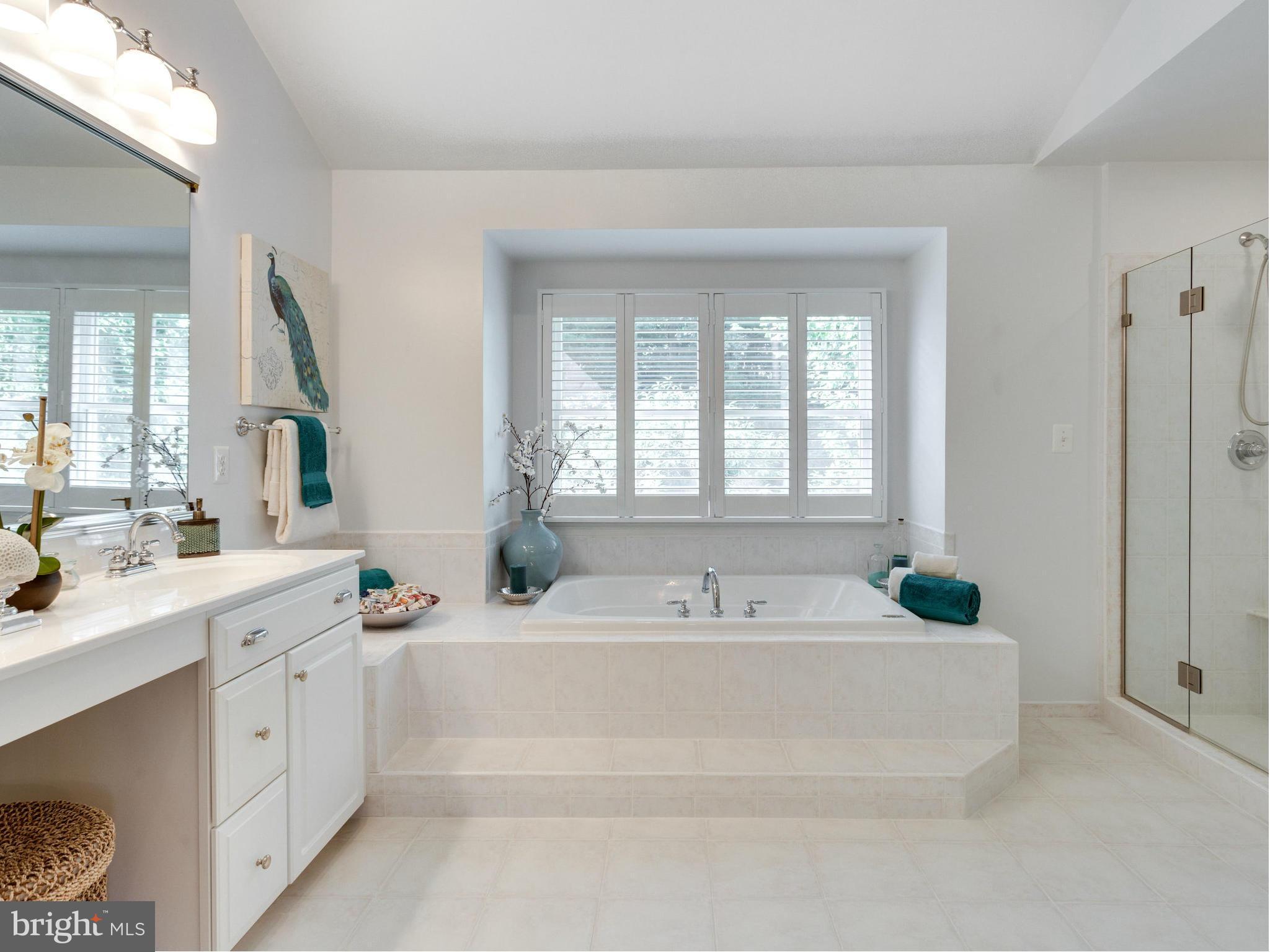 10513 Dunn Meadow Road Vienna, VA 22182 - Photo 19 of 30 Bath (Master)