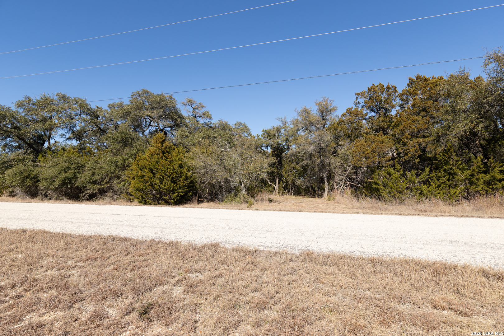 723 Vista Springs Spring Branch, TX 78070 - Photo 12 of 35