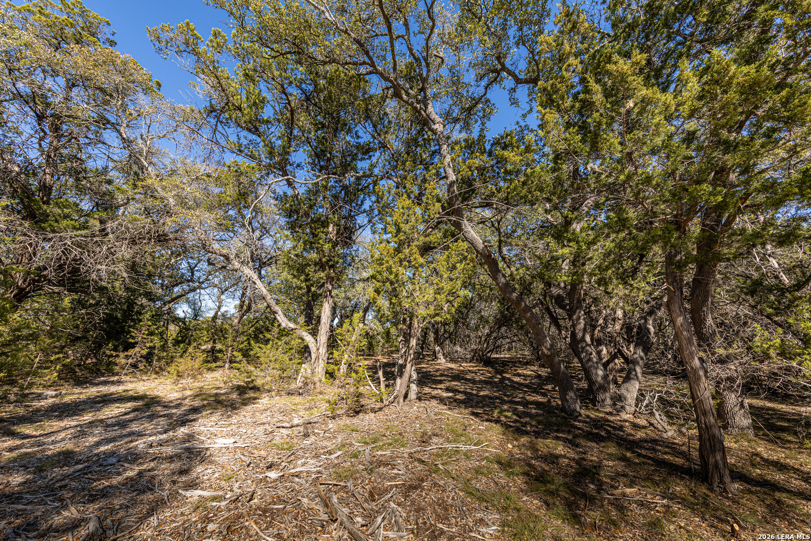 723 Vista Springs Spring Branch, TX 78070 - Photo 3 of 35