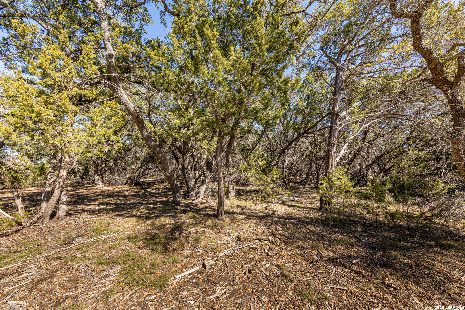 723 Vista Springs Spring Branch, TX 78070 - Photo 4 of 35