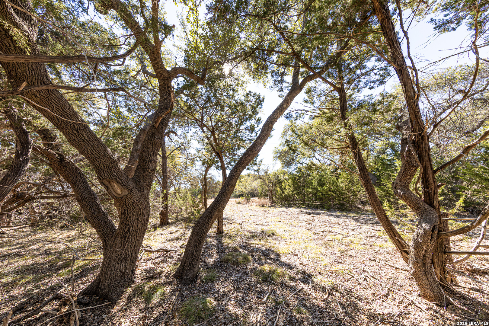 723 Vista Springs Spring Branch, TX 78070 - Photo 5 of 35