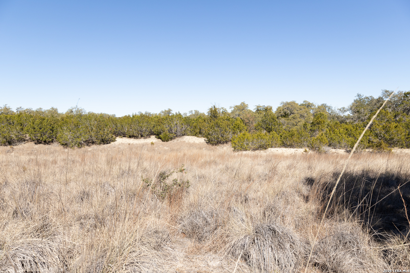 723 Vista Springs Spring Branch, TX 78070 - Photo 6 of 35
