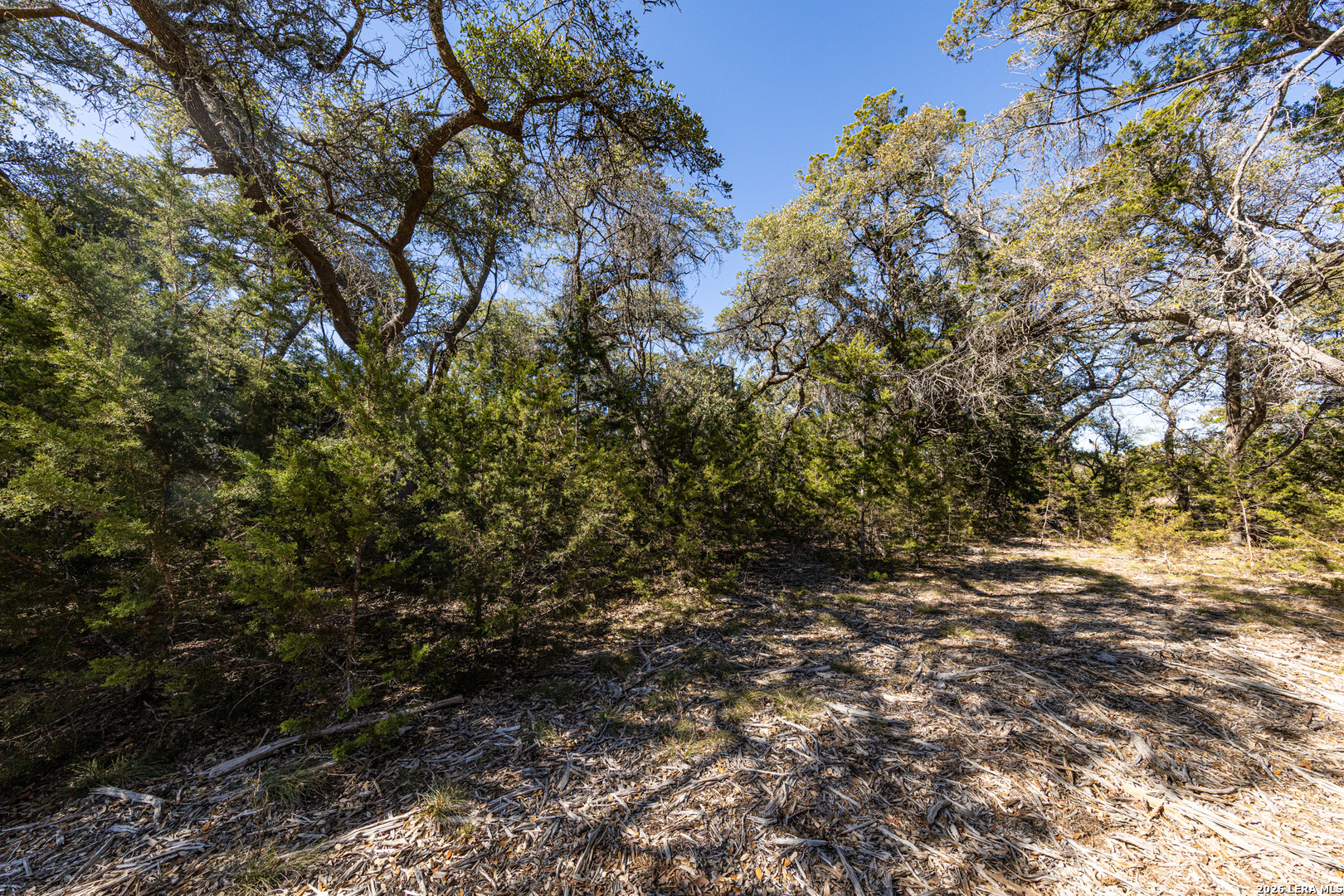 723 Vista Springs Spring Branch, TX 78070 - Photo 7 of 35