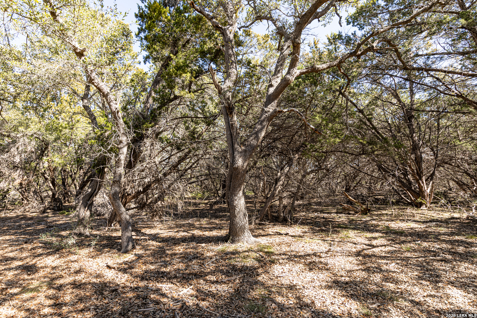 723 Vista Springs Spring Branch, TX 78070 - Photo 8 of 35