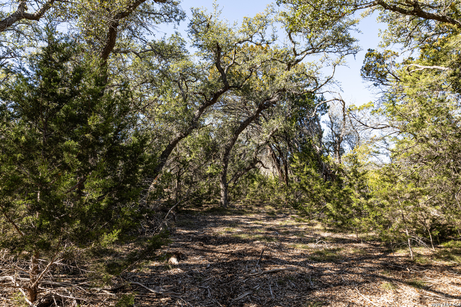 723 Vista Springs Spring Branch, TX 78070 - Photo 9 of 35