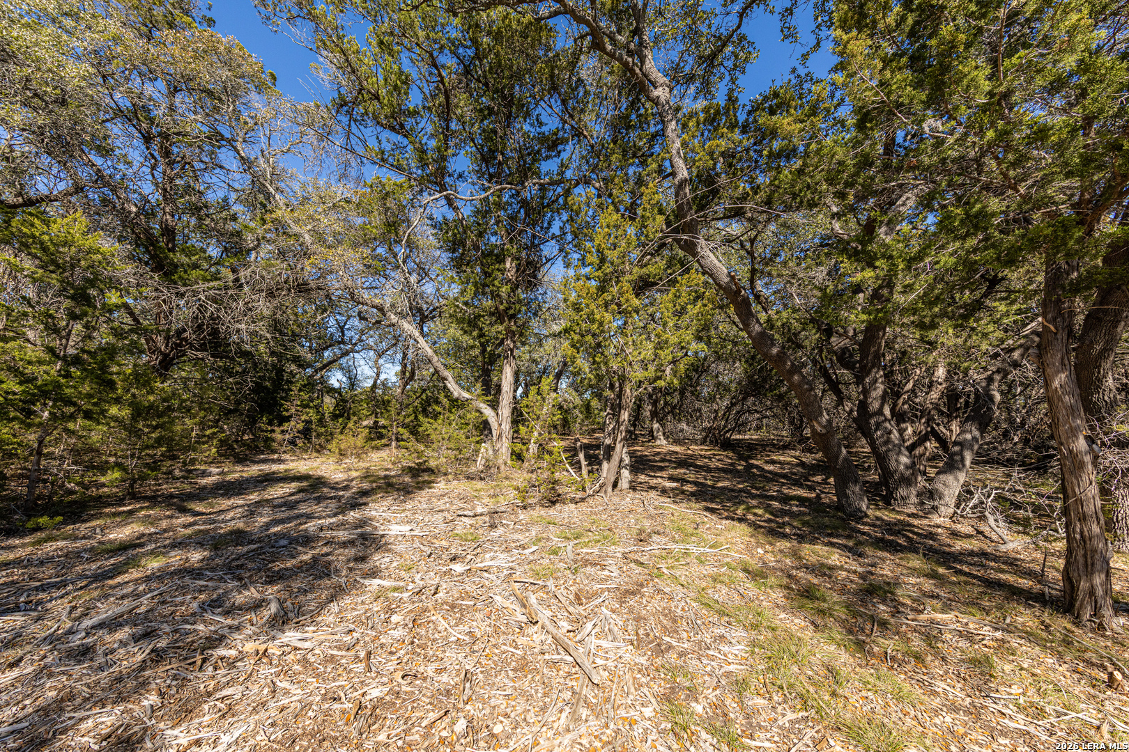 723 Vista Springs Spring Branch, TX 78070 - Photo 10 of 35