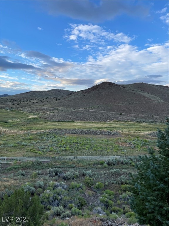 5029 Ellison Road Ely, NV 89301 - Photo 54 of 55