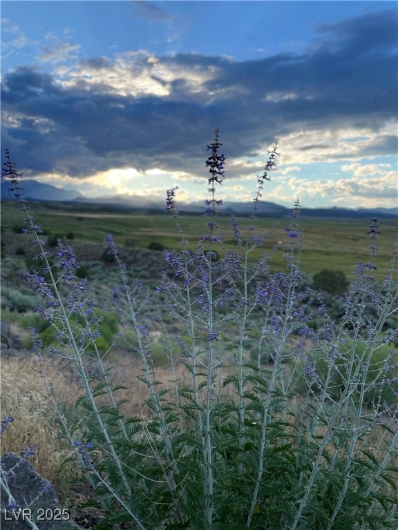 5029 Ellison Road Ely, NV 89301 - Photo 55 of 55