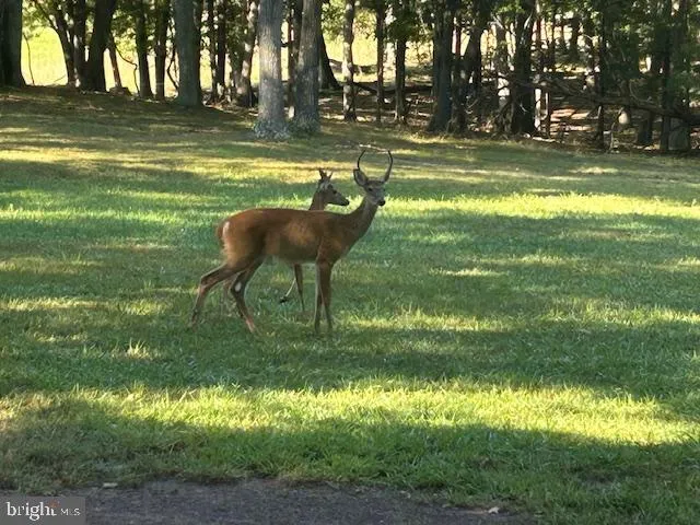a view of a house with large trees and park