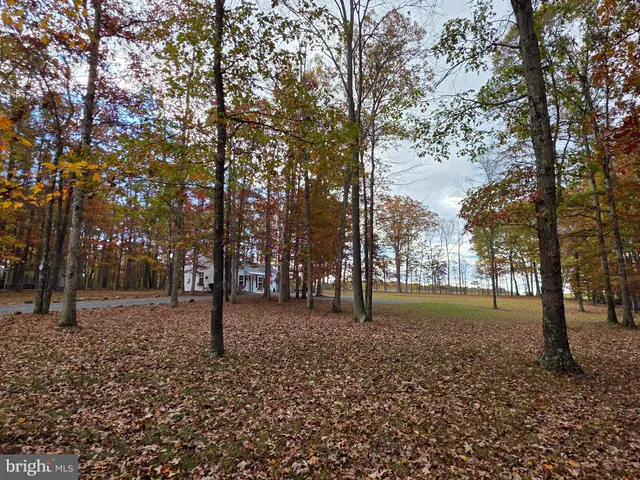 a view of a house with a large tree and a yard
