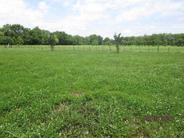 251 Peale Cross Road Monterey, LA 71354 - Photo 3 of 14