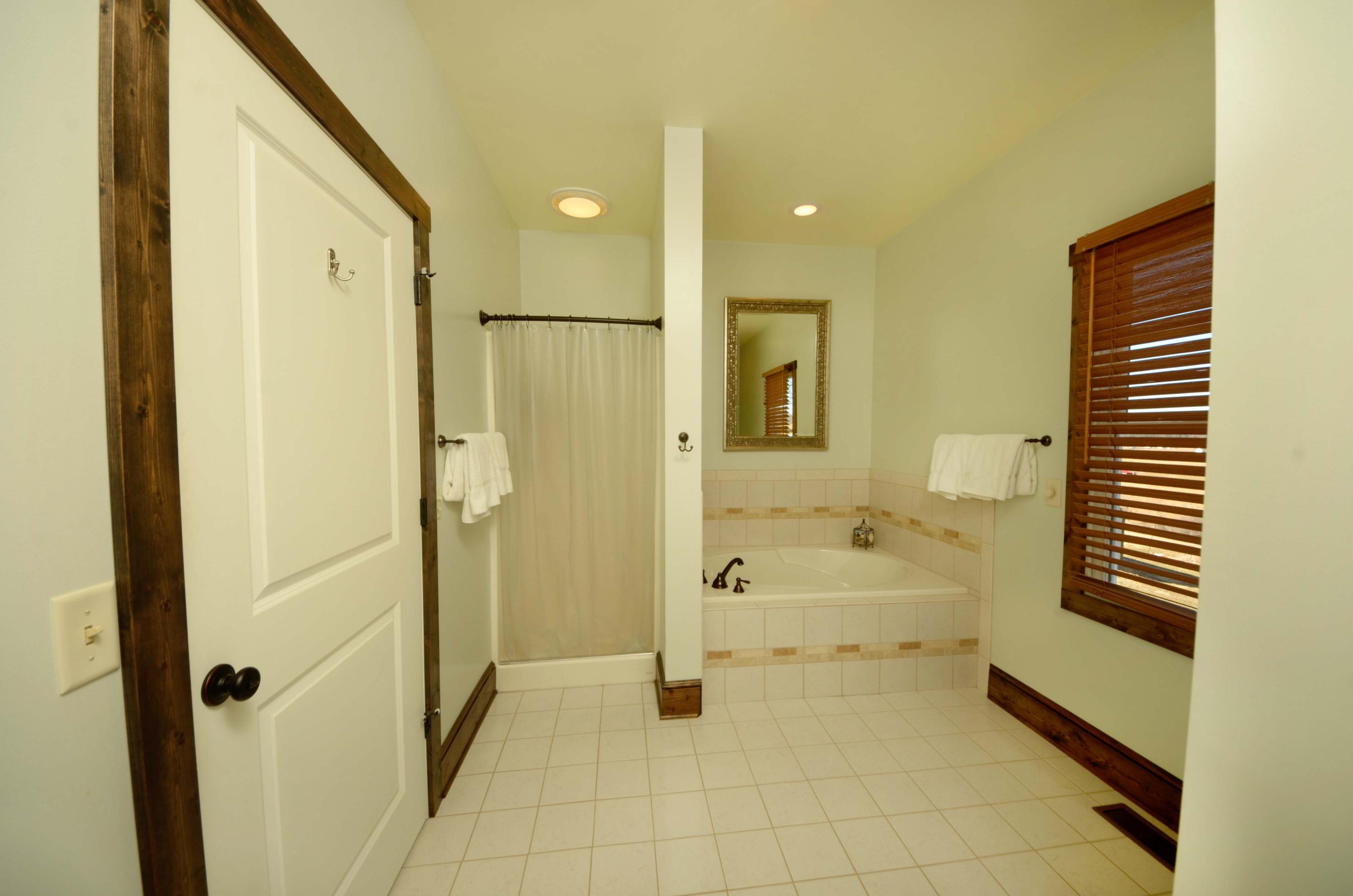 657 Poor Farm Road Southeast Floyd, VA 24091 - Photo 16 of 40 a bathroom with a bathtub and a shower