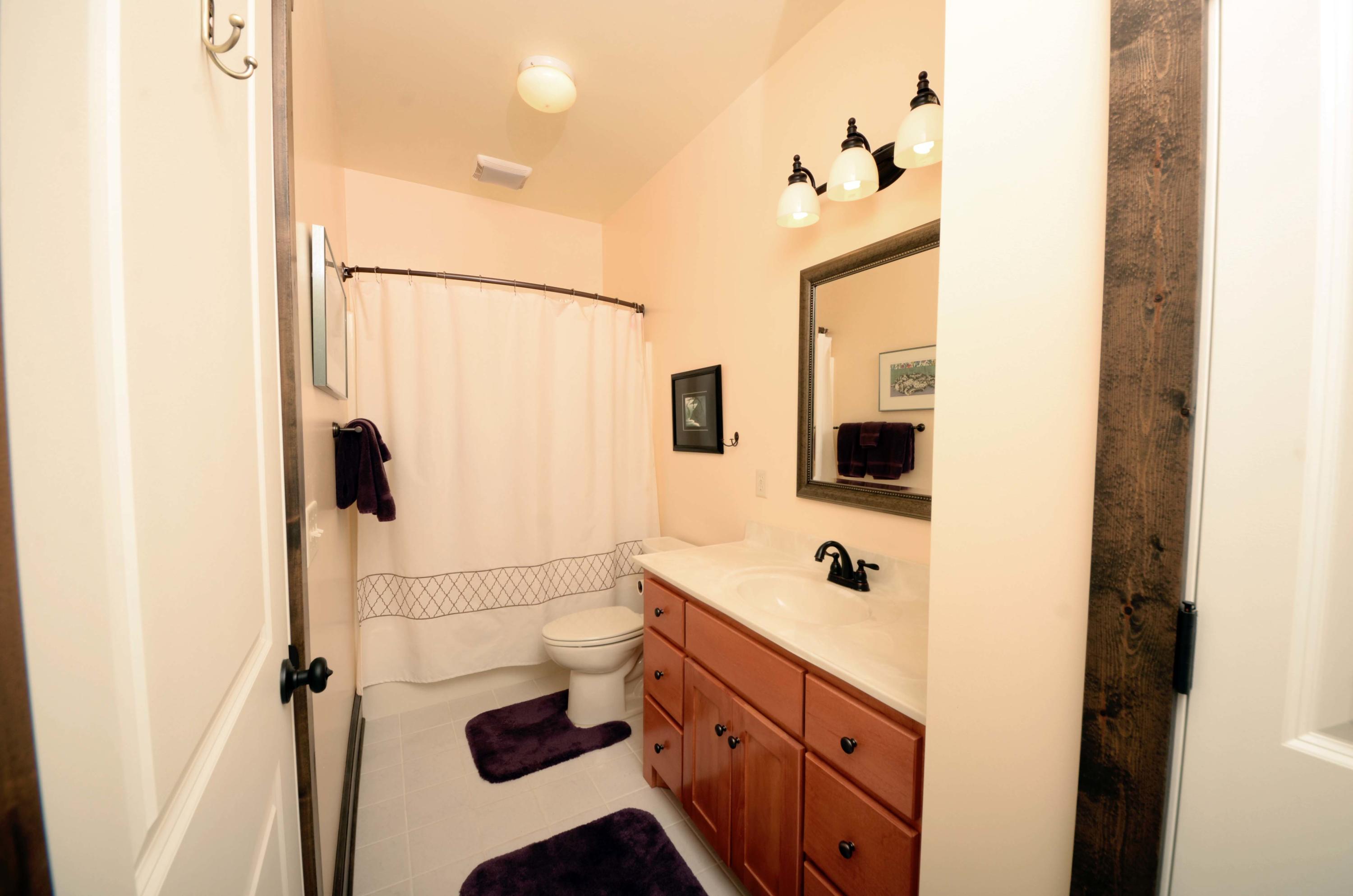 657 Poor Farm Road Southeast Floyd, VA 24091 - Photo 31 of 40 a bathroom with a sink a toilet and shower