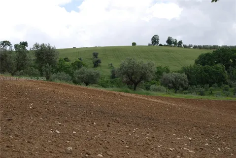 $17,000,000 | Assisi Frazione S Gregorio