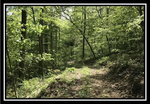 0 Old Union Road Ironton, OH 45638 - Photo 22 of 65 image022