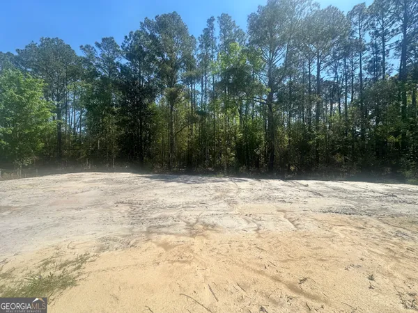 $29,000 | 505 Pauline Avenue, Ray City, GA 31645