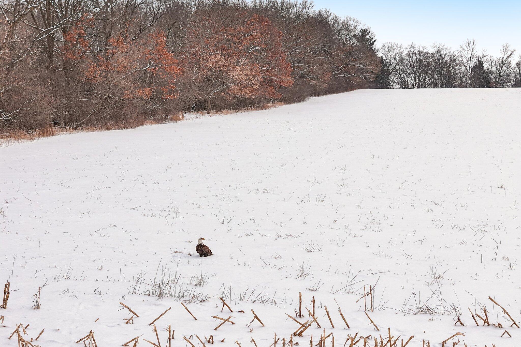 Lt2 County Road Z, Unit CSM11726 Ottawa, WI 53118 - Photo 10 of 21 Tree lined