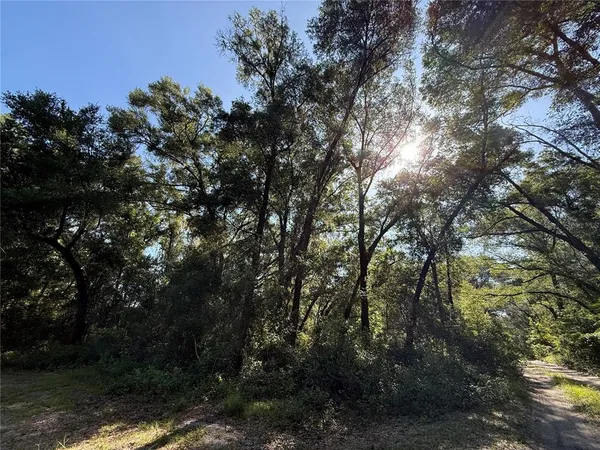 $28,900 | Xx Southeast 35th Court, Summerfield, FL 34491