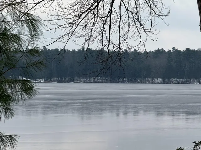 a view of road with a yard