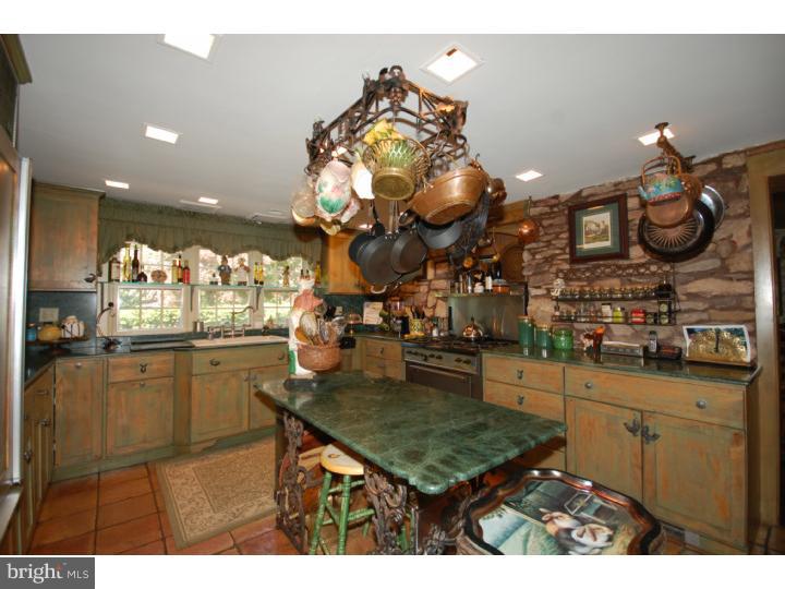 2545 River Road New Hope, PA 18938 - Photo 3 of 25 Kitchen