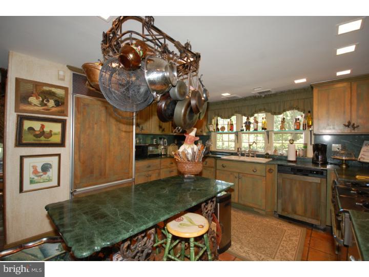 2545 River Road New Hope, PA 18938 - Photo 4 of 25 Kitchen