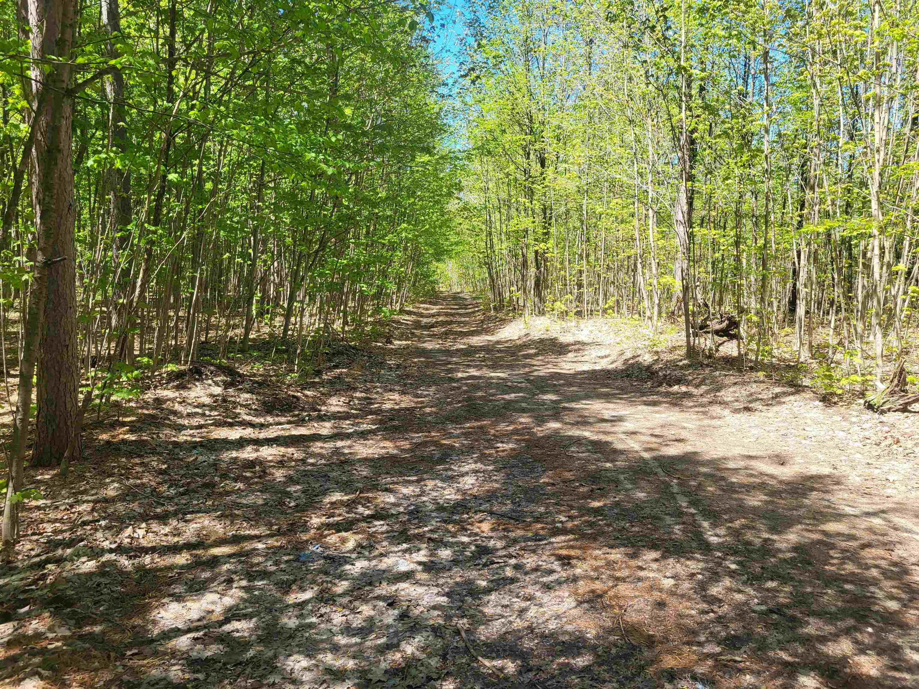 0 North Hulbert Road Lake Ann, MI 49650 - Photo 2 of 14
